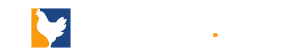 Chicken.gg